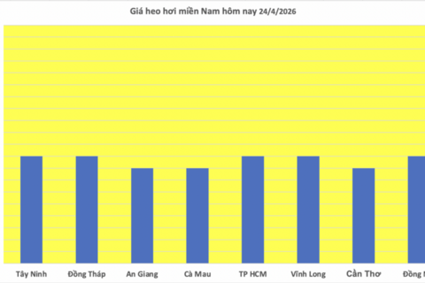 <a href="/thong-tin-thi-truong" title="Thông tin thị trường" rel="dofollow">Thông tin thị trường</a>
