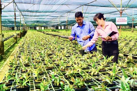 Ứng dụng số - xu hướng tất yếu phát triển nông nghiệp đô thị