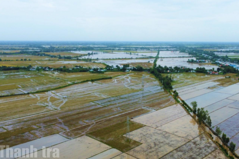 Cà Mau tạo quỹ đất sạch cho loạt dự án công nghiệp, năng lượng