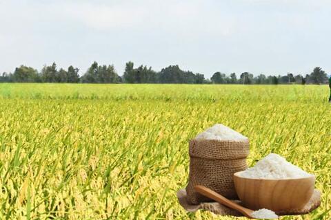 <a href="/thong-tin-thi-truong" title="Thông tin thị trường" rel="dofollow">Thông tin thị trường</a>