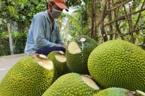 <a href="/thong-tin-thi-truong" title="Thông tin thị trường" rel="dofollow">Thông tin thị trường</a>