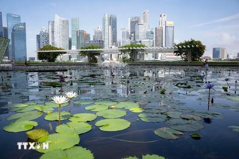 <a href="/kinh-te" title="Kinh tế" rel="dofollow">Kinh tế</a>