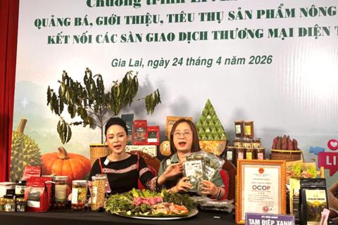 <a href="/kinh-te" title="Kinh tế" rel="dofollow">Kinh tế</a>
