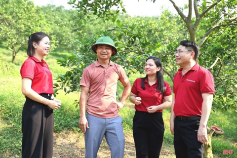 <a href="/tai-chinh" title="Tài chính" rel="dofollow">Tài chính</a>