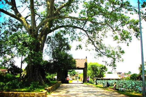 Tiêu chuẩn trưởng thôn, tổ trưởng tổ dân phố sau sắp xếp thôn, tổ dân phố thế nào?