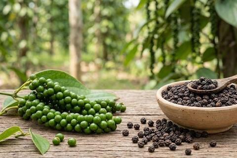 Bản tin nông sản hôm nay (16-6): Giá hồ tiêu ổn định