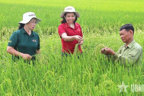 <a href="/kinh-te" title="Kinh tế" rel="dofollow">Kinh tế</a>
