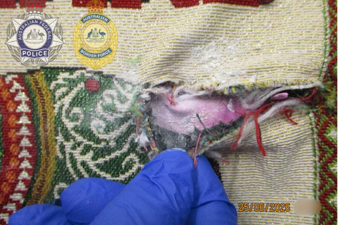 Nữ tiếp viên Thai Airways bị bắt tại Úc vì vận chuyển 1 kg heroin trong hành lý