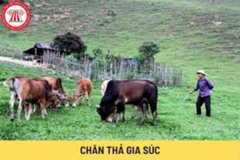 <a href="/xuc-tien" title="Xúc tiến" rel="dofollow">Xúc tiến</a>