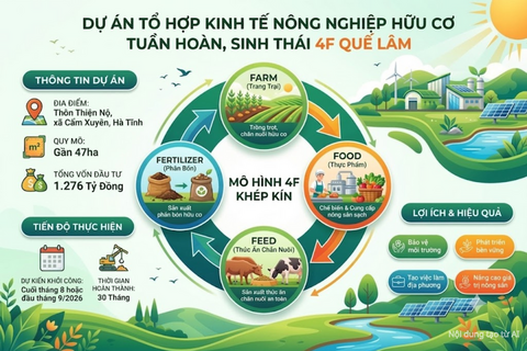 <a href="/dau-tu" title="Đầu tư" rel="dofollow">Đầu tư</a>