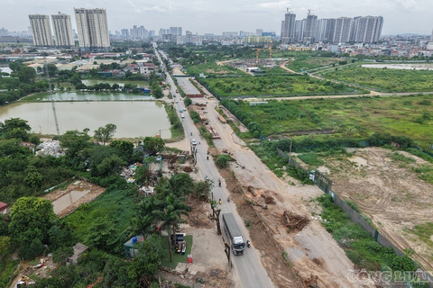 Hà Nội: Chặt hạ, đánh chuyển hàng cây xà cừ cổ thụ để mở rộng đường 70