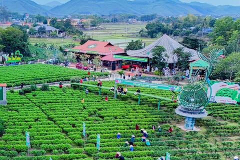 <a href="/kinh-te" title="Kinh tế" rel="dofollow">Kinh tế</a>