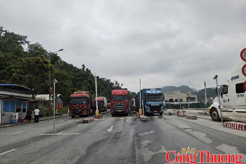<a href="/thong-tin-thi-truong" title="Thông tin thị trường" rel="dofollow">Thông tin thị trường</a>