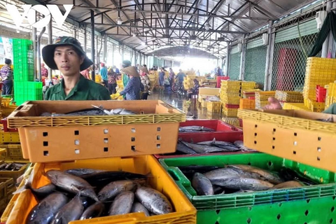 Đồng Tháp quyết tâm hoàn thành các nhiệm vụ chống khai thác IUU trước 31/8