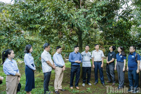 <a href="/kinh-te" title="Kinh tế" rel="dofollow">Kinh tế</a>