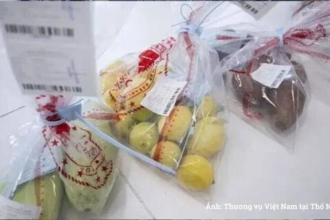 Thêm cơ quan được kiểm tra đối với sản phẩm nhập khẩu vào Thổ Nhĩ Kỳ