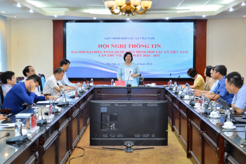 <a href="/kinh-te" title="Kinh tế" rel="dofollow">Kinh tế</a>