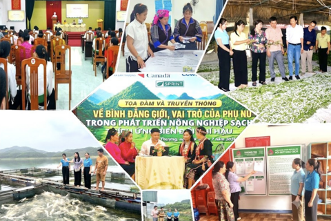 <a href="/dau-tu" title="Đầu tư" rel="dofollow">Đầu tư</a>