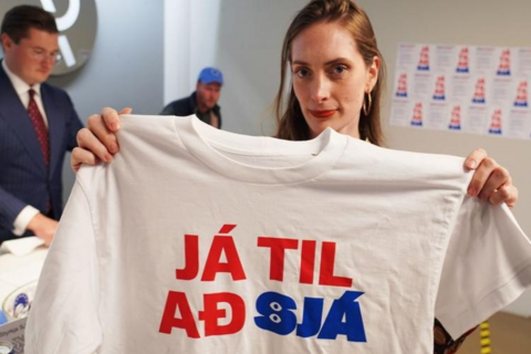 Iceland bỏ phiếu đàm phán gia nhập EU: phe ‘Đồng ý’ tạm dẫn sít sao