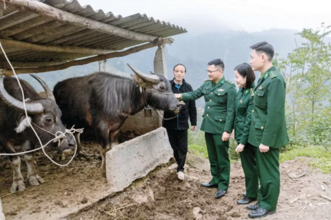 Điểm tựa để đồng bào vùng biên vươn lên thoát nghèo