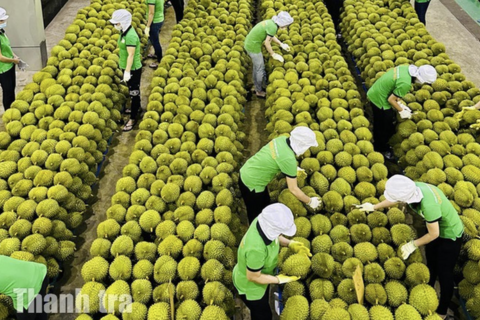 <a href="/thong-tin-thi-truong" title="Thông tin thị trường" rel="dofollow">Thông tin thị trường</a>