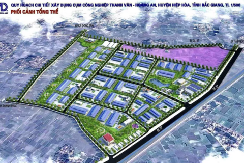 <a href="/dau-tu" title="Đầu tư" rel="dofollow">Đầu tư</a>