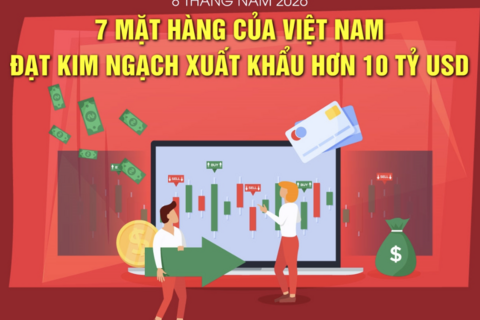 Việt Nam có 7 mặt hàng xuất khẩu hơn 10 tỷ USD trong 8 tháng năm 2026