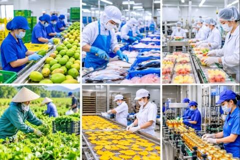 Nhân lực chất lượng cao – chìa khóa hiện đại hóa nông nghiệp Việt Nam