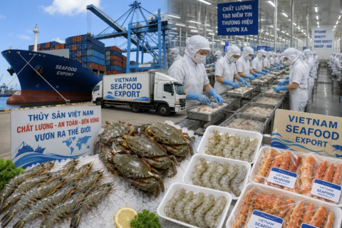 Kim ngạch xuất khẩu nông, lâm, thủy sản 8 tháng đạt 49,3 tỷ USD