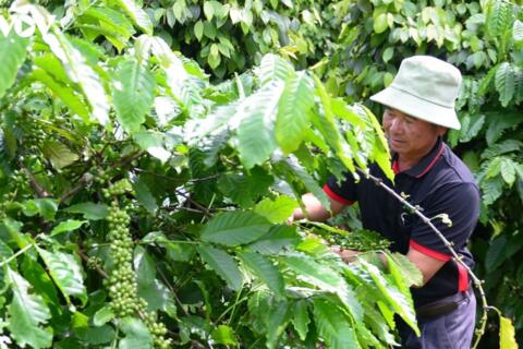 <a href="/thong-tin-thi-truong" title="Thông tin thị trường" rel="dofollow">Thông tin thị trường</a>