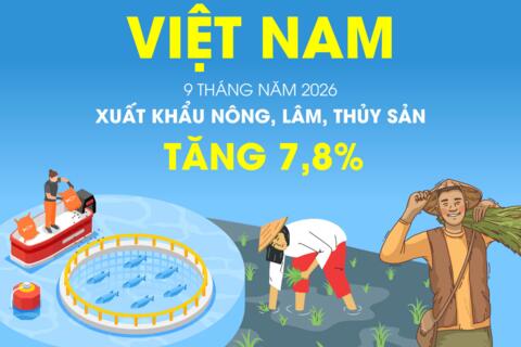 <a href="/kinh-te" title="Kinh tế" rel="dofollow">Kinh tế</a>