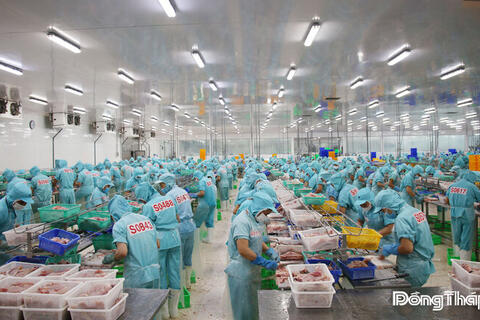 <a href="/kinh-te" title="Kinh tế" rel="dofollow">Kinh tế</a>