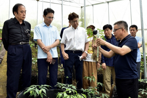 Lai Châu chạy nước rút, quyết tâm tăng trưởng 10% trong năm 2026