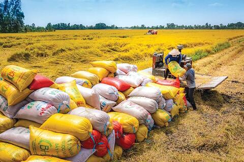 <a href="/kinh-te" title="Kinh tế" rel="dofollow">Kinh tế</a>