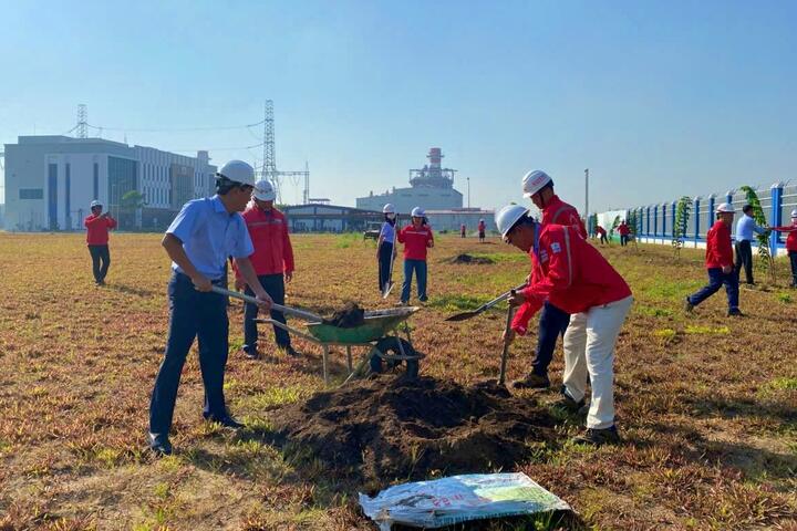 PV Power NT lan tỏa nét đẹp văn hóa từ truyền thống Tết trồng cây