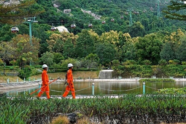 EVNSPC đảm bảo cấp điện Tết tại 8 tỉnh, thành phía Nam