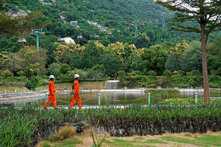 Ngành điện miền Nam sẵn sàng đảm bảo cấp điện Tết Bính Ngọ 2026