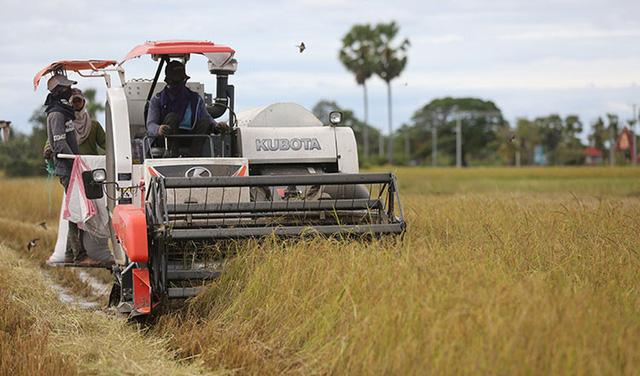 Chốt kèo khủng: Nông sản Campuchia thỏa sức vùng vẫy tại Trung Quốc, thu lãi cả triệu đô - Ảnh 1.