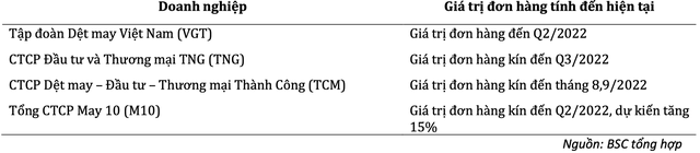 BSC: 2022 sẽ là năm của những doanh nghiệp Dệt may tăng trưởng cả mảng kinh doanh cốt lõi và lấn sân đầu tư bất động sản - Ảnh 2.