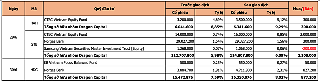 Chuyển động quỹ đầu tư 4/7 - 10/7: Dragon Capital mua HAH, STB, HDG - Ảnh 1.