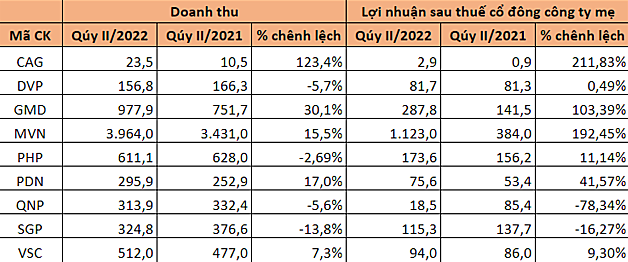 Các doanh nghiệp vận tải tiếp tục bội thu, ngành cảng phân hóa trong quý II - Ảnh 1.