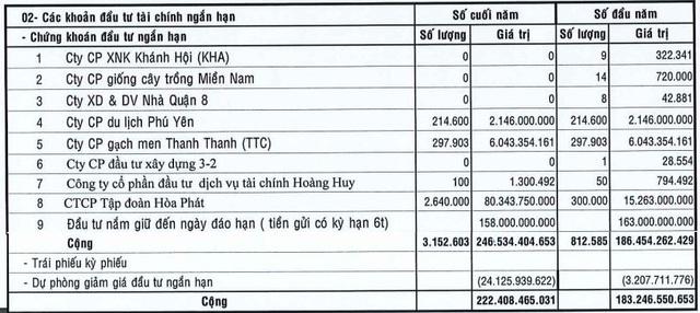 Ôm hàng triệu cổ phiếu HPG, một doanh nghiệp báo lãi 9 tháng giảm 29% do trích lập dự phòng - Ảnh 2.