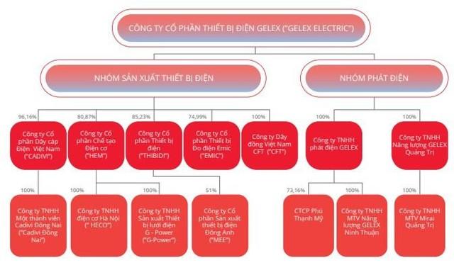 Cadivi (CAV) “bật đèn xanh” cho Gelex Electric (GEE) thâu tóm toàn bộ 100% cổ phần - Ảnh 2.