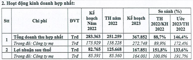 Dự báo khó khăn, Tín Nghĩa vẫn tự tin với mục tiêu lợi nhuận 2023 tăng trưởng 62% lên mức kỷ lục - Ảnh 1.