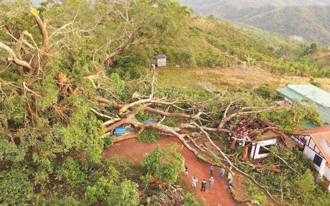 Nhiều cành, thân của cây đa di sản ở Đắk Nông bị giông lốc quật gãy. Ảnh: Phan Tuấn