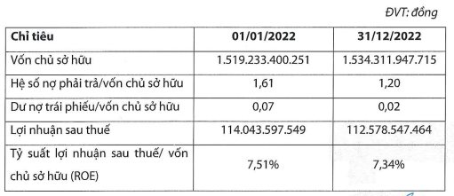 Công ty thành viên của Trung Nam Group báo lãi năm 2022 hơn trăm tỷ, mua lại 375 tỷ đồng trái phiếu - Ảnh 2.