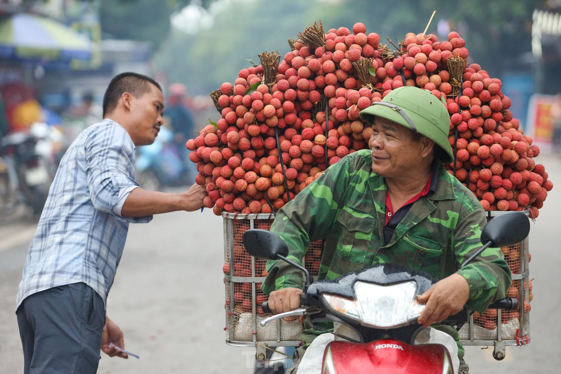 Hàng trăm xe nối đuôi chờ 'ngã giá' thu mua ở thủ phủ vải thiều - Ảnh 9.