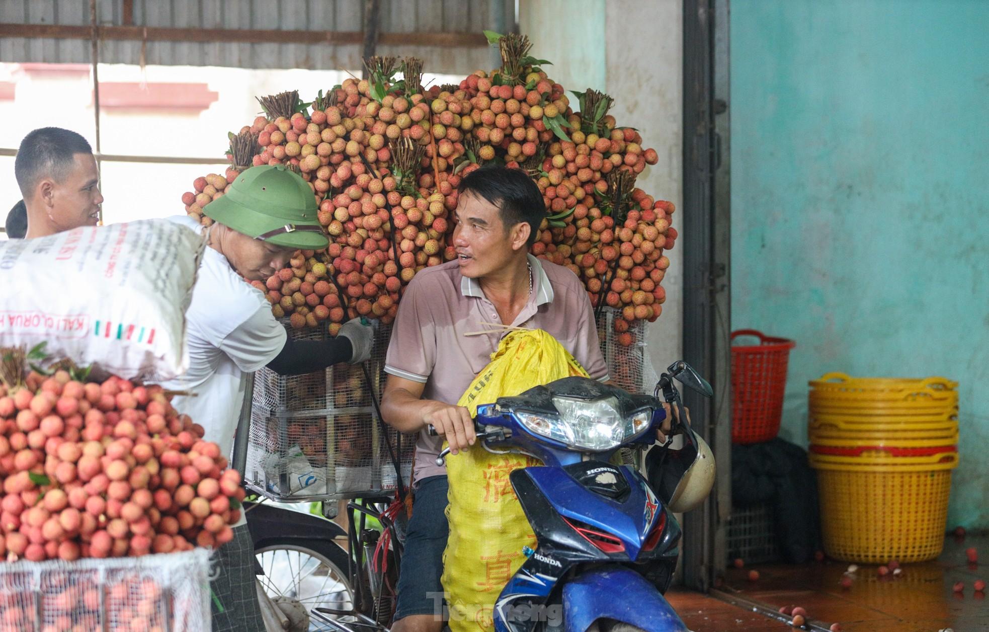 Hàng trăm xe nối đuôi chờ 'ngã giá' thu mua ở thủ phủ vải thiều - Ảnh 11.