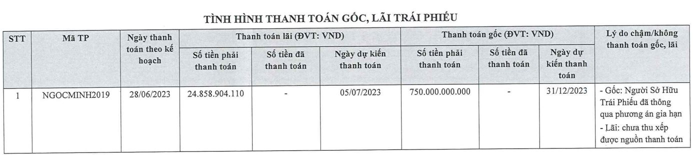 BNP Global và loạt doanh nghiệp liên quan Novaland chậm trả lãi và gốc trái phiếu: Đàm phán bán tài sản đảm bảo, trái chủ không đồng ý lùi hạn - Ảnh 2.