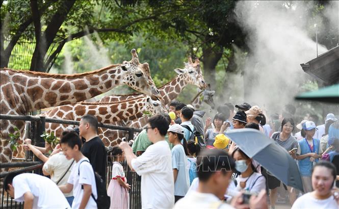 Nóng thiêu đốt và mưa kỷ lục, châu Á 'quay cuồng' vì khủng hoảng khí hậu - Ảnh 3.